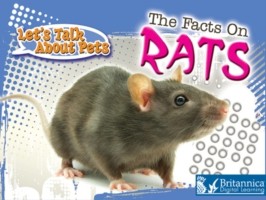 Facts on Rats