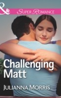 Challenging Matt (Mills & Boon Superromance) (Those Hollister Boys - Book 2)