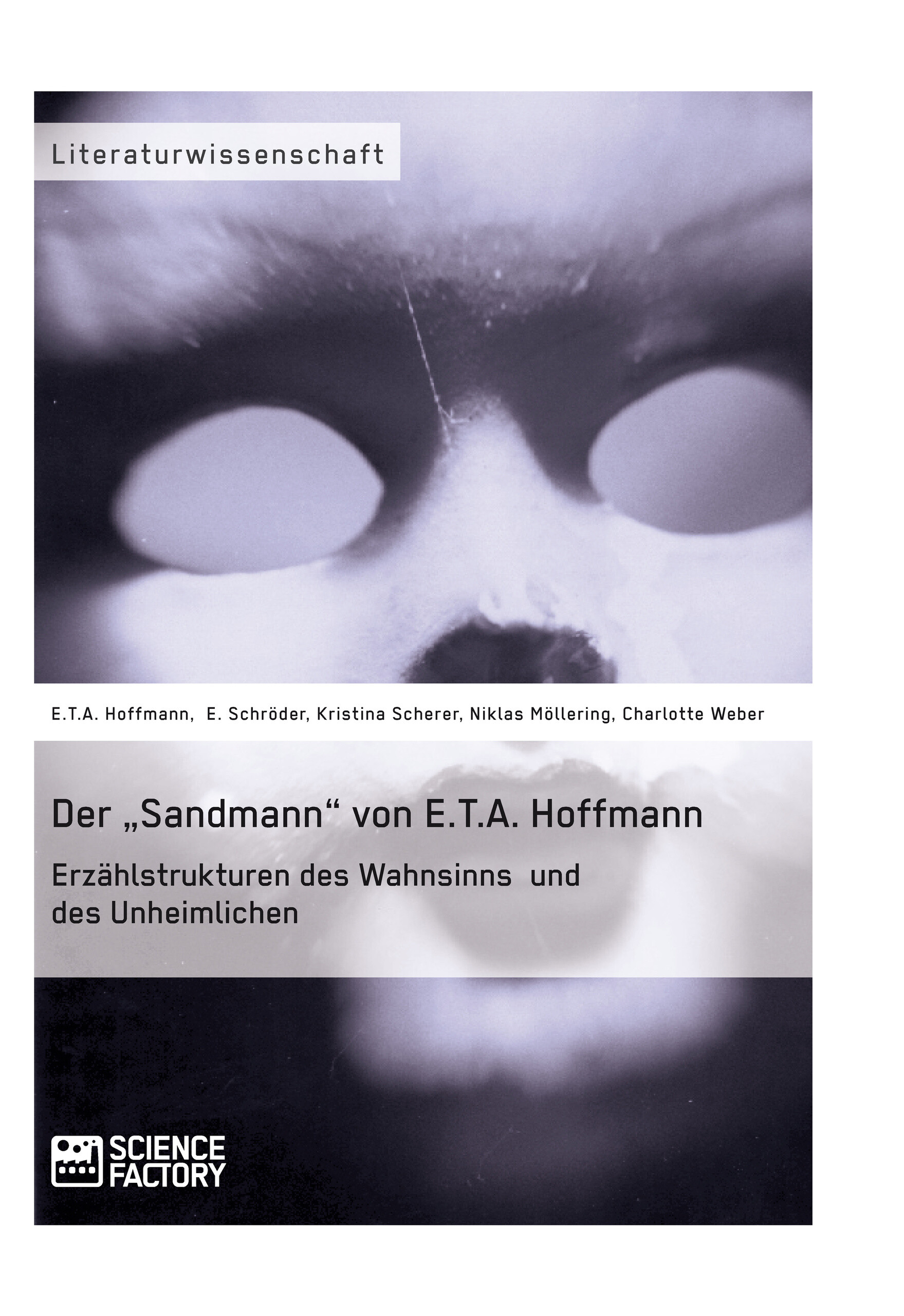 Der 'Sandmann' von E.T.A. Hoffmann. Erzählstrukturen des Wahnsinns und des Unheimlichen