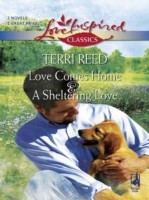 Love Comes Home and A Sheltering Love (Mills & Boon Love Inspired)