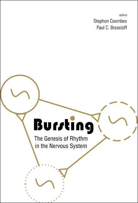 Bursting: The Genesis of Rhythm in the Nervous System