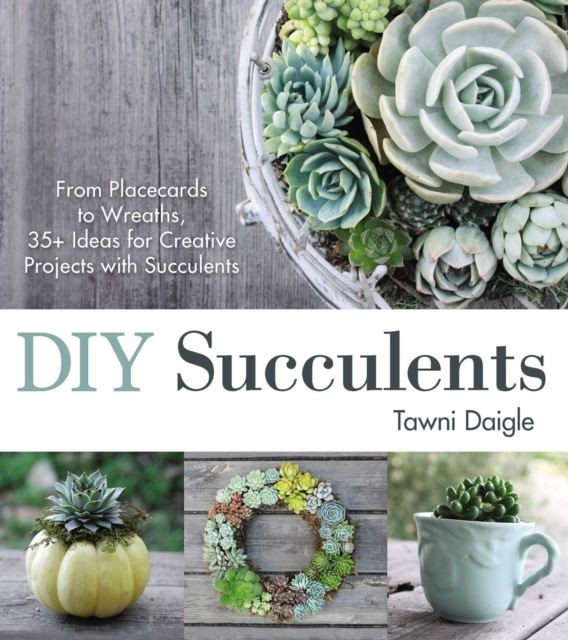 DIY Succulents