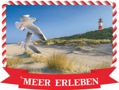 Poly Magnet See Strand Meer erleben