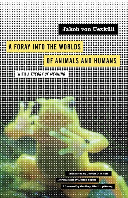 A Foray into the Worlds of Animals and Humans