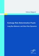 Exchange Rate Determination Puzzle: Long Run Behavior and Short Run Dynamics