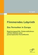 Flimmerndes Labyrinth: Das Fernsehen in Europa  ¿ Regulierungspolitik, Fördermaßnahmen und die Chancen eines paneuropäischen Fernsehkanals