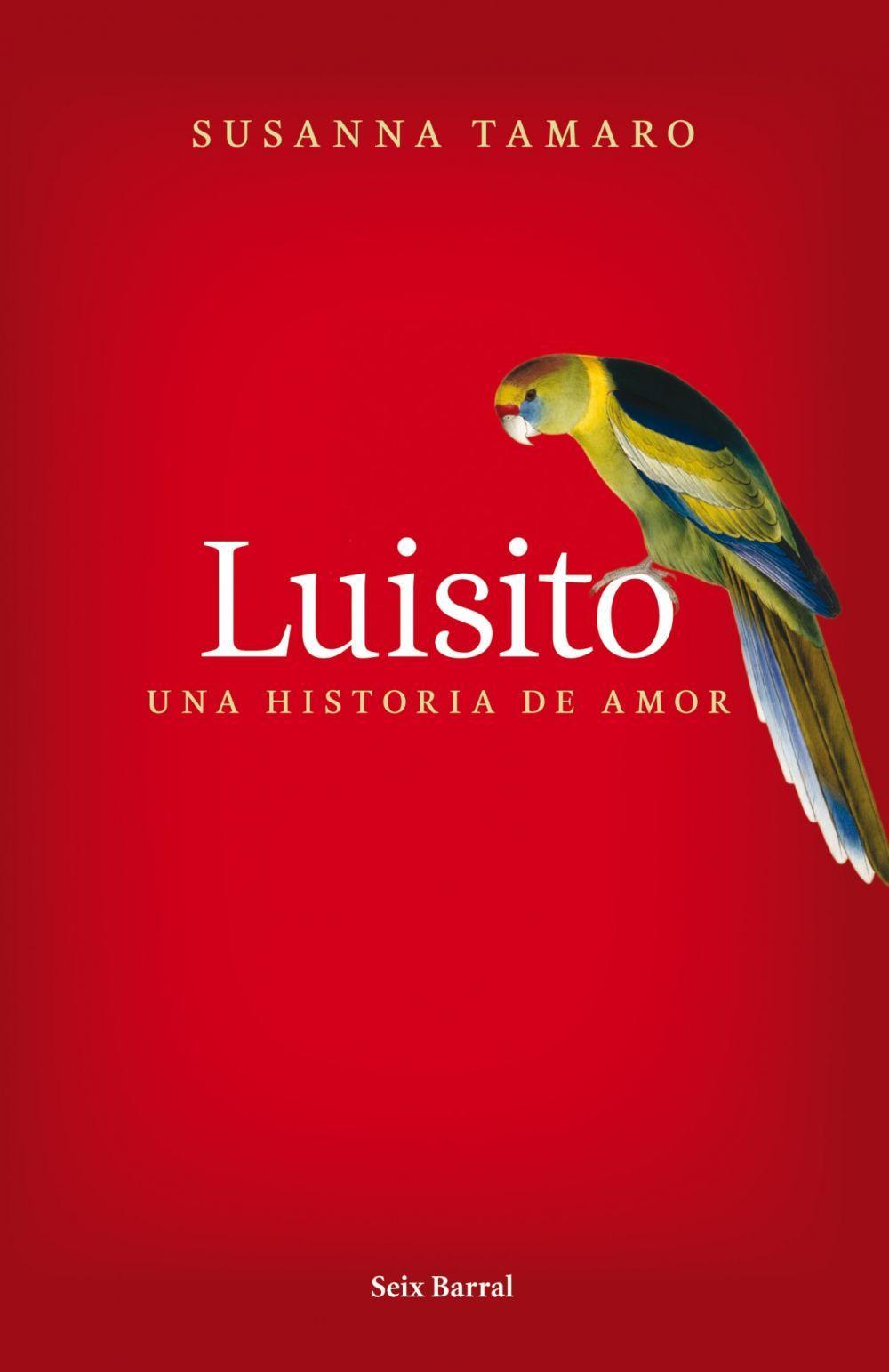 Luisito : una historia de amor