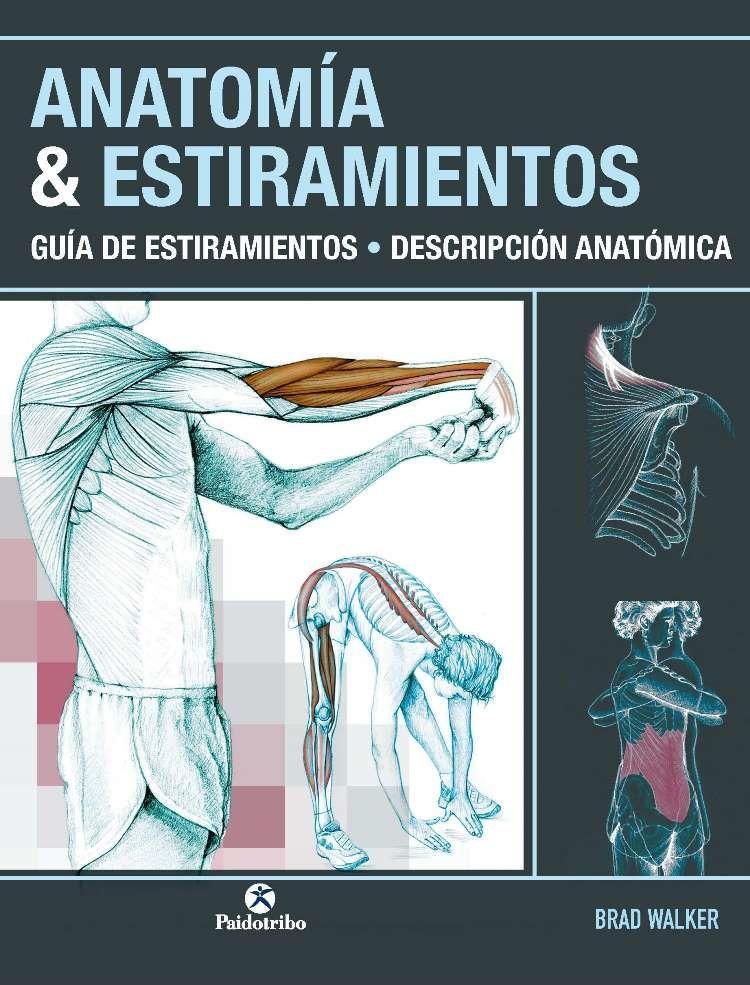 Anatomía & estiramientos : guía de estiramientos : descripción anatómica