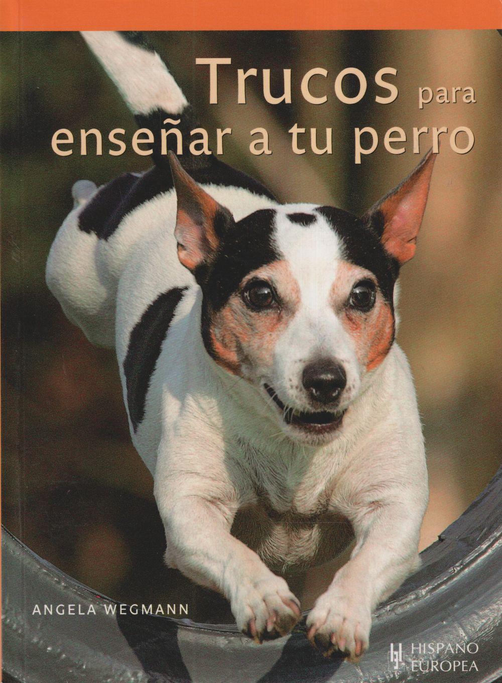 Trucos para enseñar a su perro