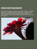 Irischer Musiker