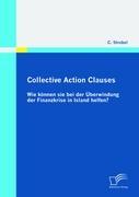 Collective Action Clauses: Wie können sie bei der Überwindung der Finanzkrise in Island helfen?