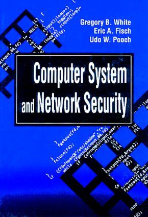 Computer System and Network Security