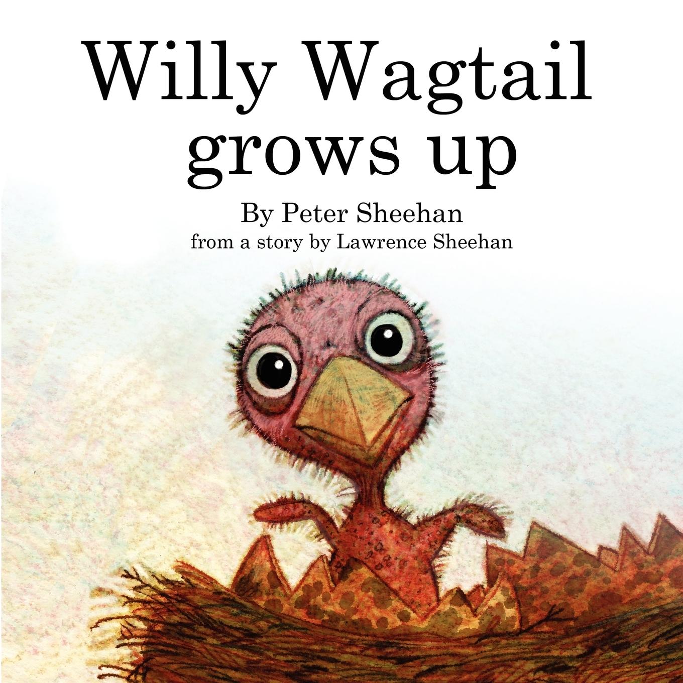 Willy Wagtail grows up