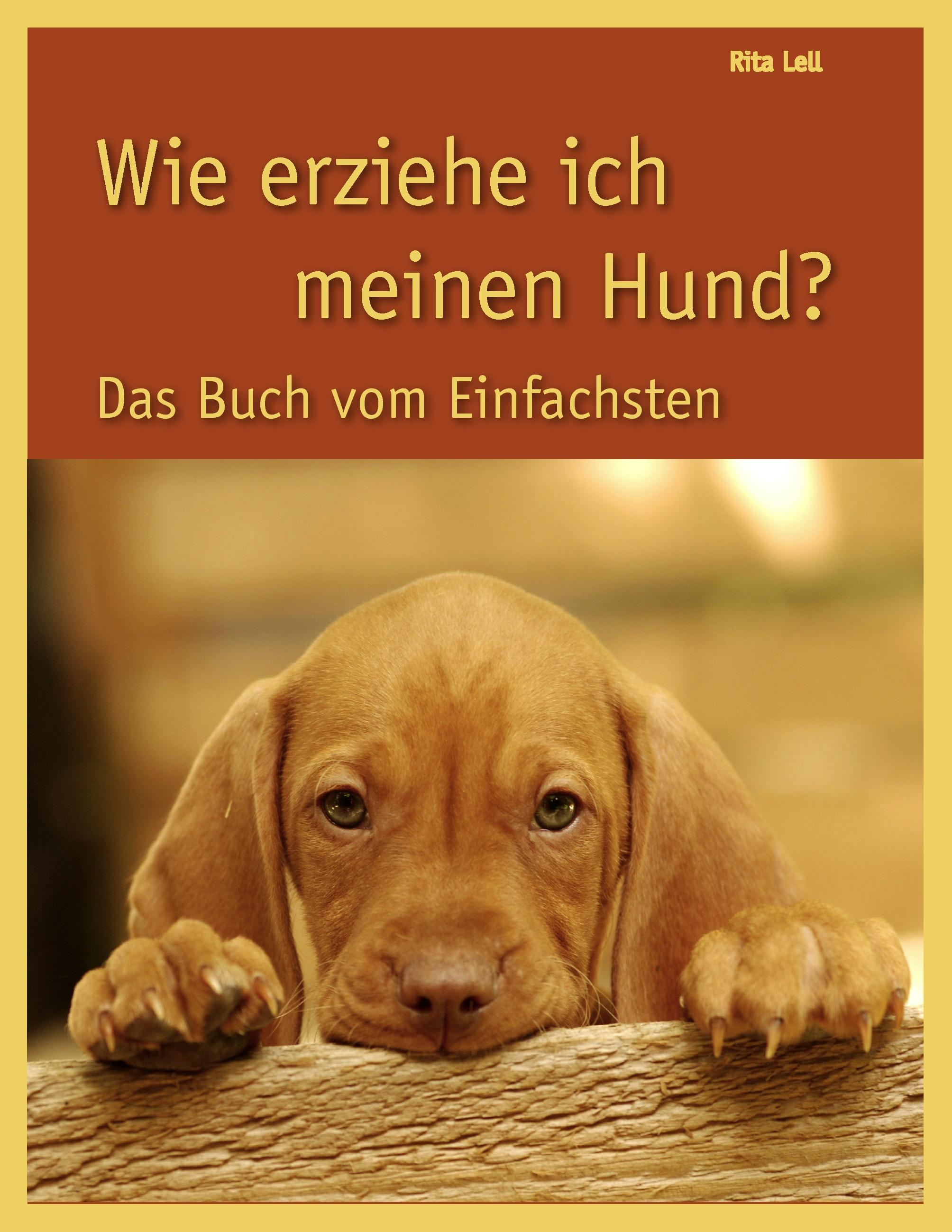 Wie erziehe ich meinen Hund