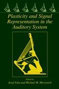 Plasticity and Signal Representation in the Auditory System