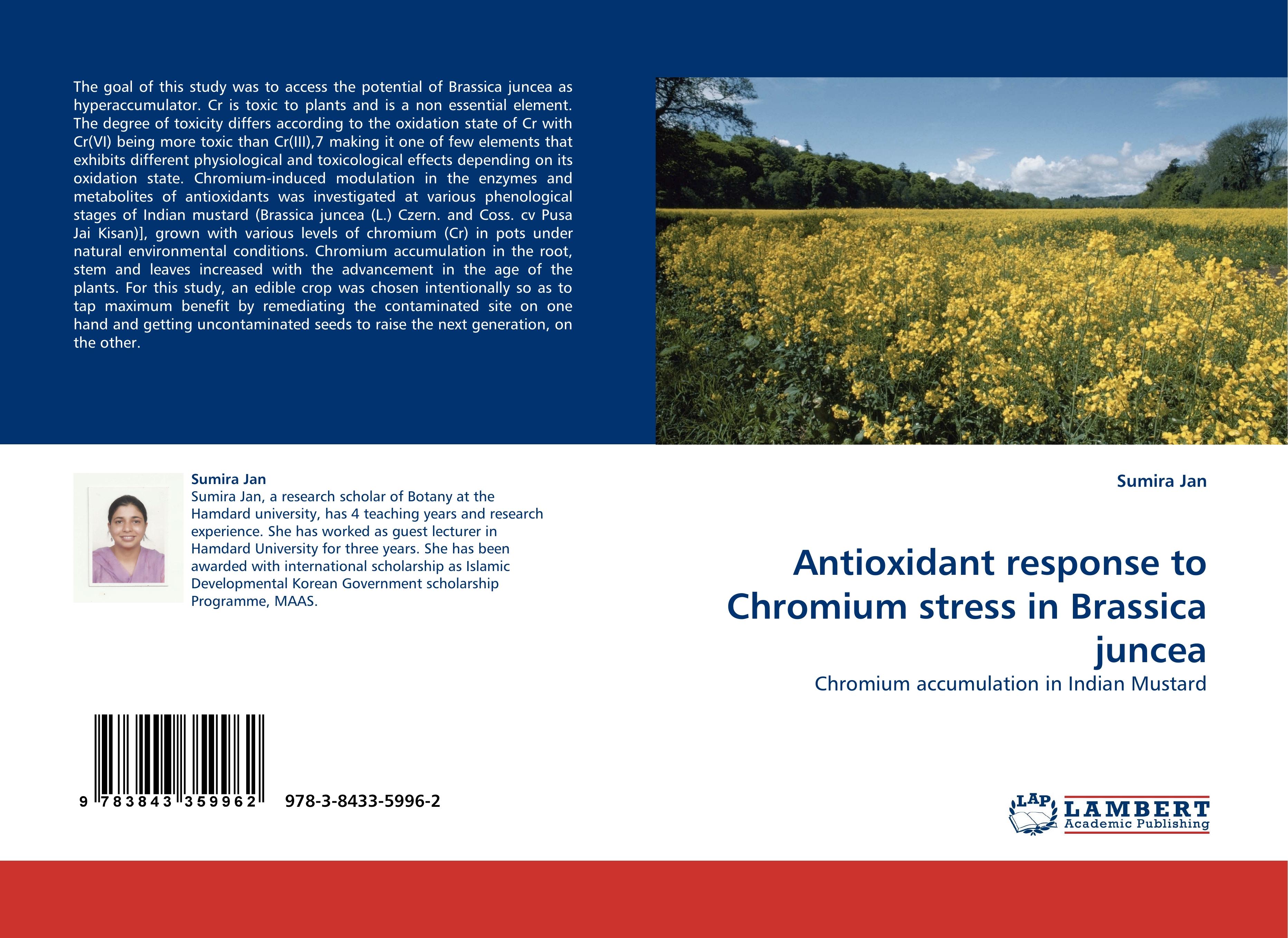 Antioxidant response to Chromium stress in Brassica juncea