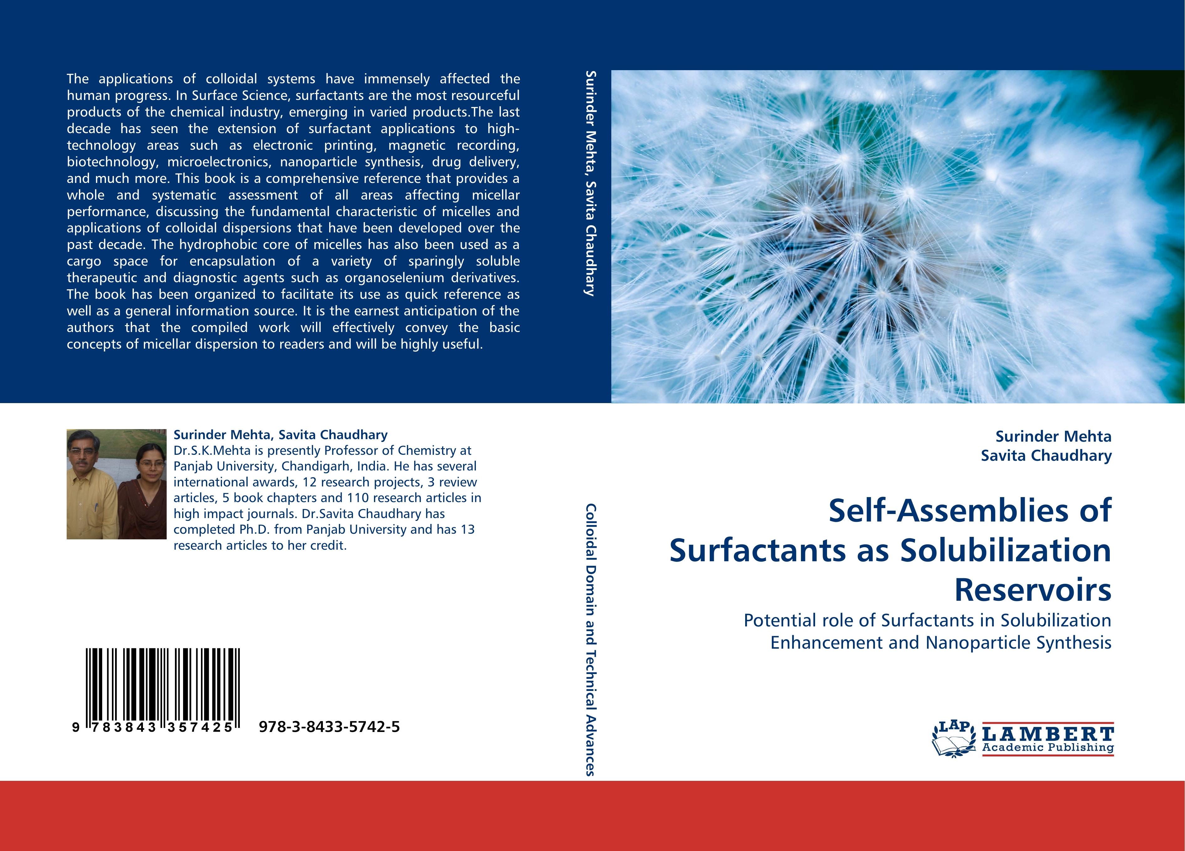 Self-Assemblies of Surfactants as Solubilization Reservoirs