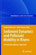 Sediment Dynamics and Pollutant Mobility in Rivers