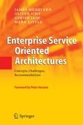 Enterprise Service Oriented Architectures