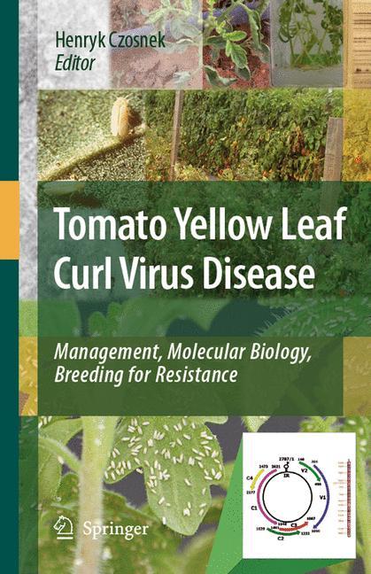 Tomato Yellow Leaf Curl Virus Disease