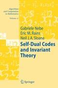 Self-Dual Codes and Invariant Theory