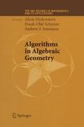 Algorithms in Algebraic Geometry