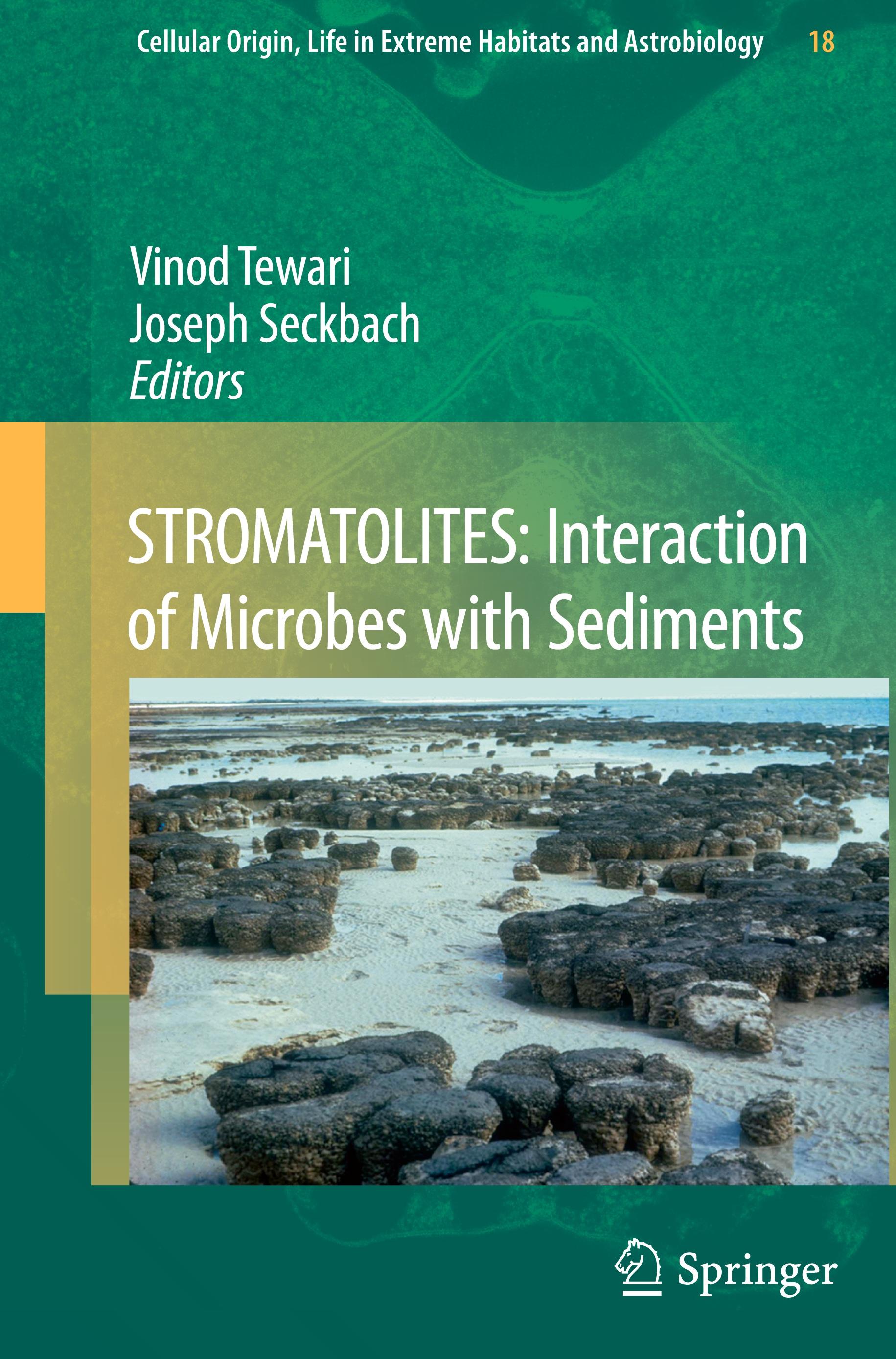 STROMATOLITES: Interaction of Microbes with Sediments