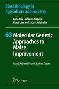 Molecular Genetic Approaches to Maize Improvement