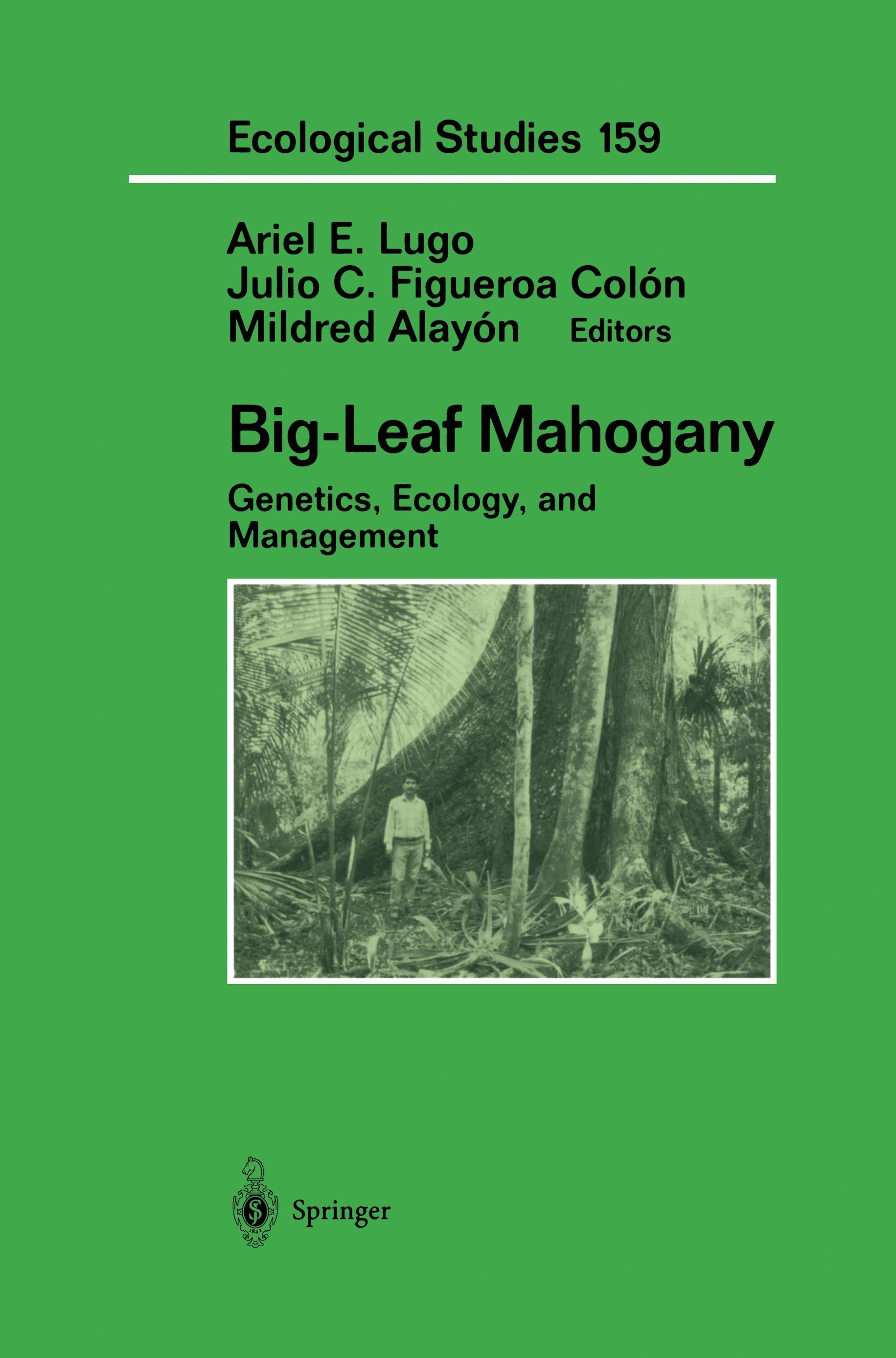 Big-Leaf Mahogany