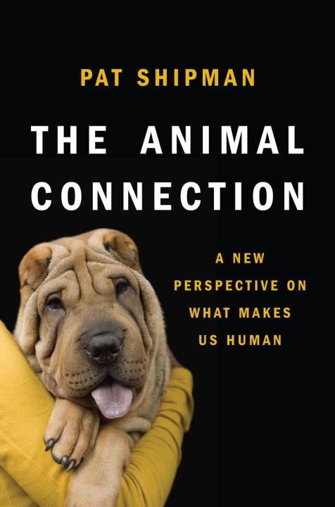 The Animal Connection