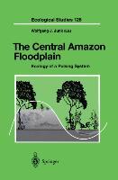 The Central Amazon Floodplain