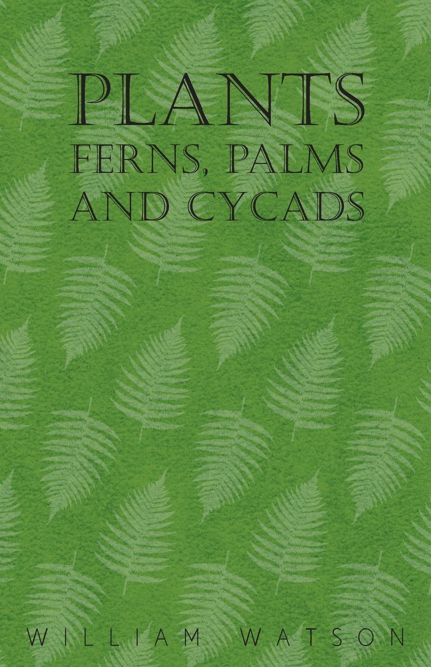 Plants - Ferns, Palms and Cycads