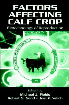 Soil Management and Greenhouse Effect