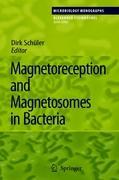 Magnetoreception and Magnetosomes in Bacteria