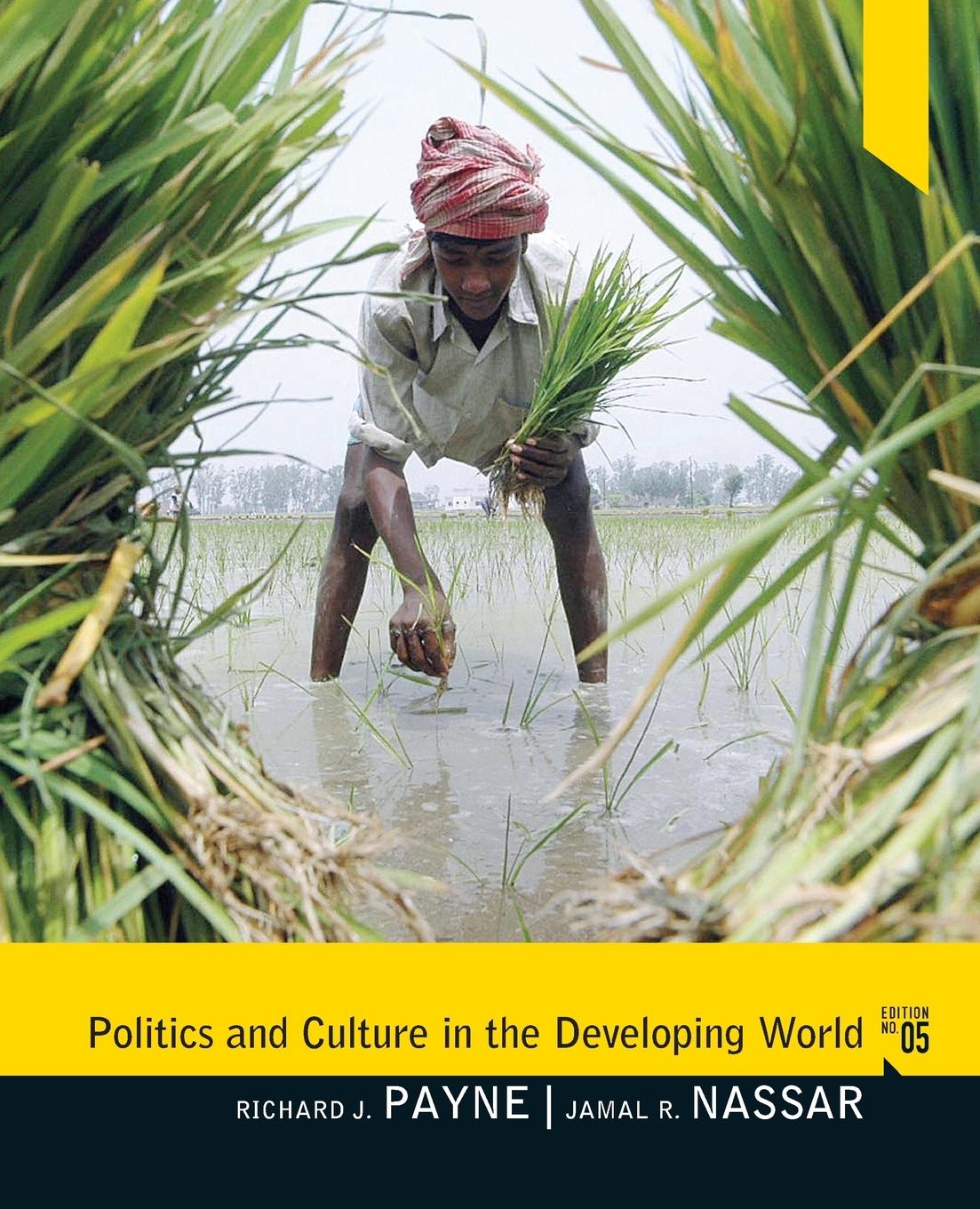 Politics and Culture in the Developing World