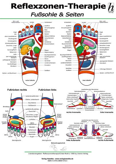 Reflexzonen-Therapie Mini-Poster - Fußsohle & Seiten DIN A4