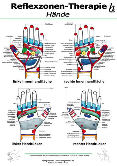 Reflexzonen-Therapie Mini-Poster - Hände DIN A4