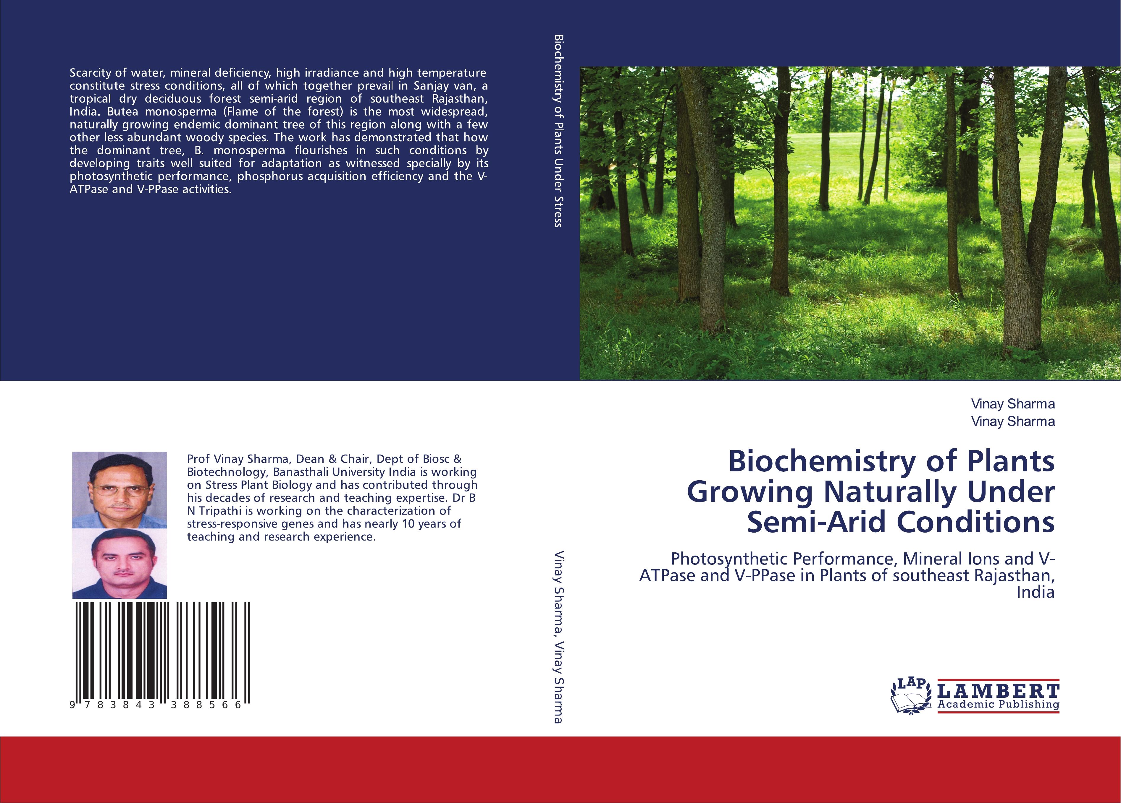 Biochemistry of Plants Growing Naturally Under Semi-Arid Conditions