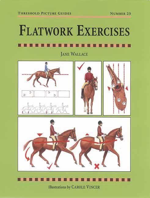 Flatwork Exercises