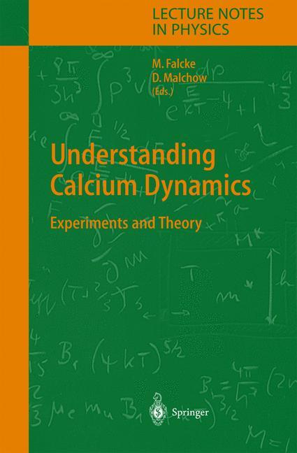 Understanding Calcium Dynamics