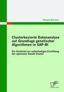 Clusterbasierte Datenanalyse auf Grundlage genetischer Algorithmen in SAP-BI