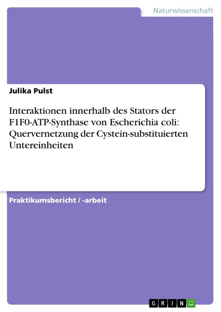 Interaktionen innerhalb des Stators der F1F0-ATP-Synthase von Escherichia coli: Quervernetzung der Cystein-substituierten Untereinheiten