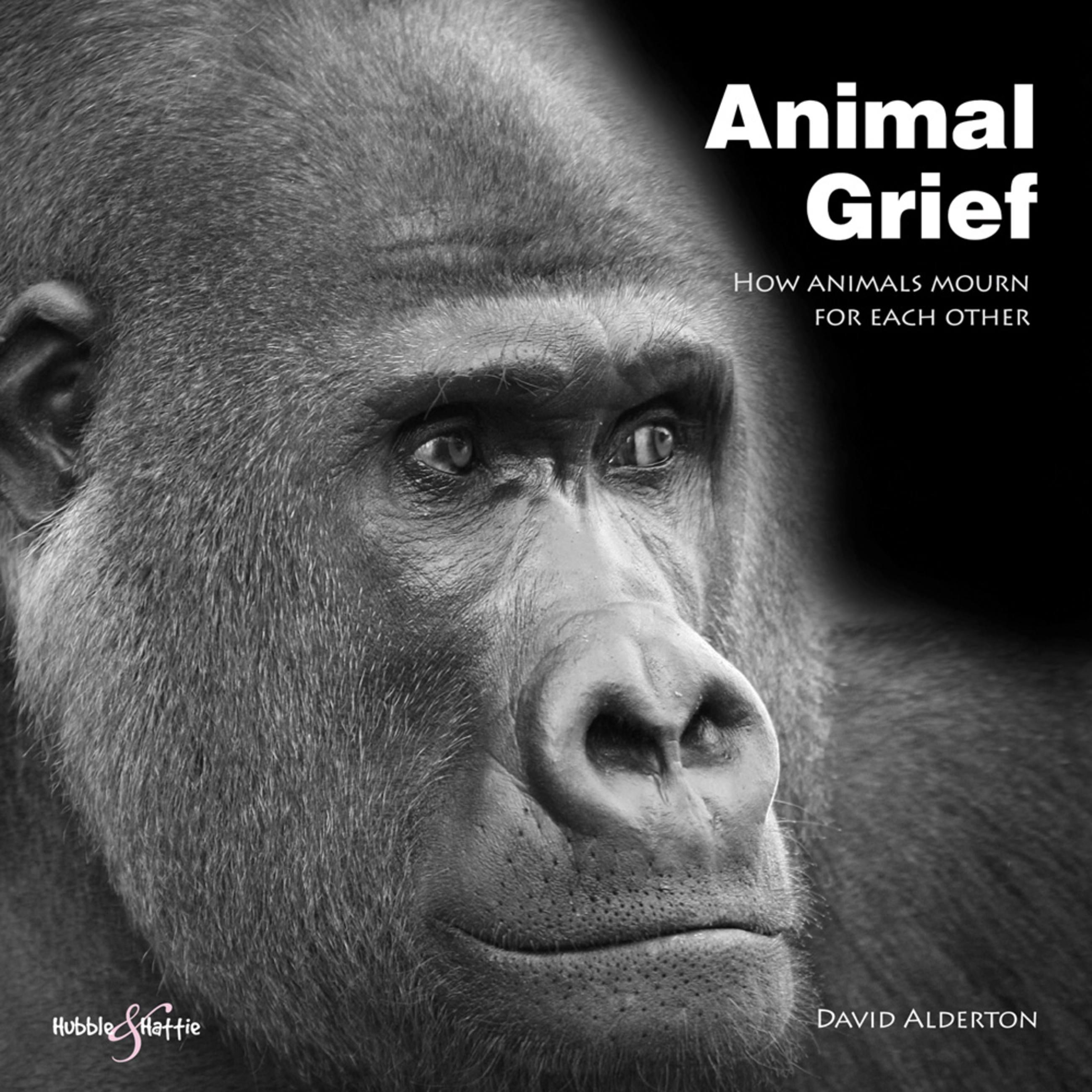 Animal Grief