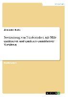 Bestimmung von Länderrisiken mit Hilfe qualitativer und qualitativ-quantitativer Verfahren