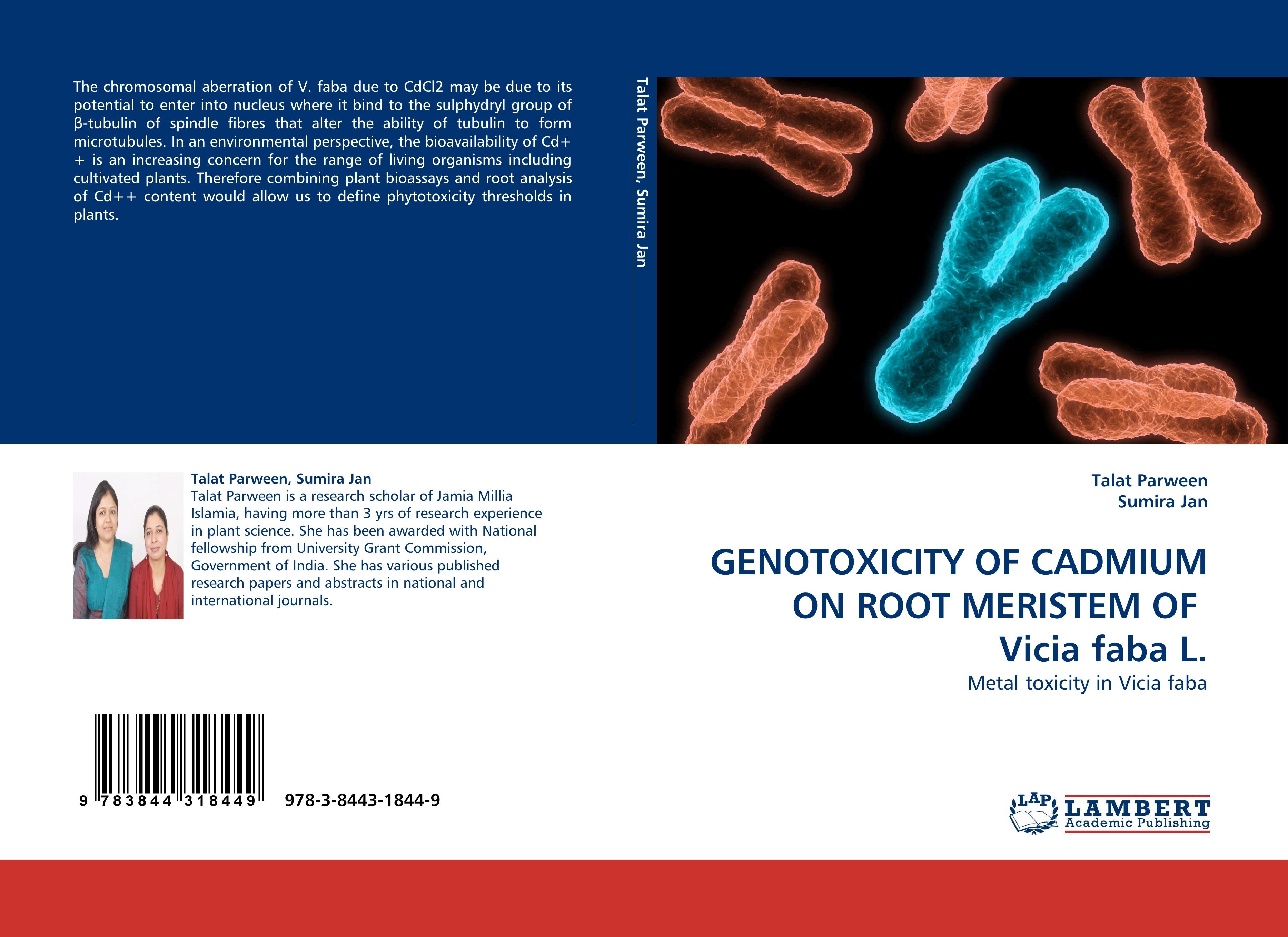 GENOTOXICITY OF CADMIUM ON ROOT MERISTEM OF  Vicia faba L.