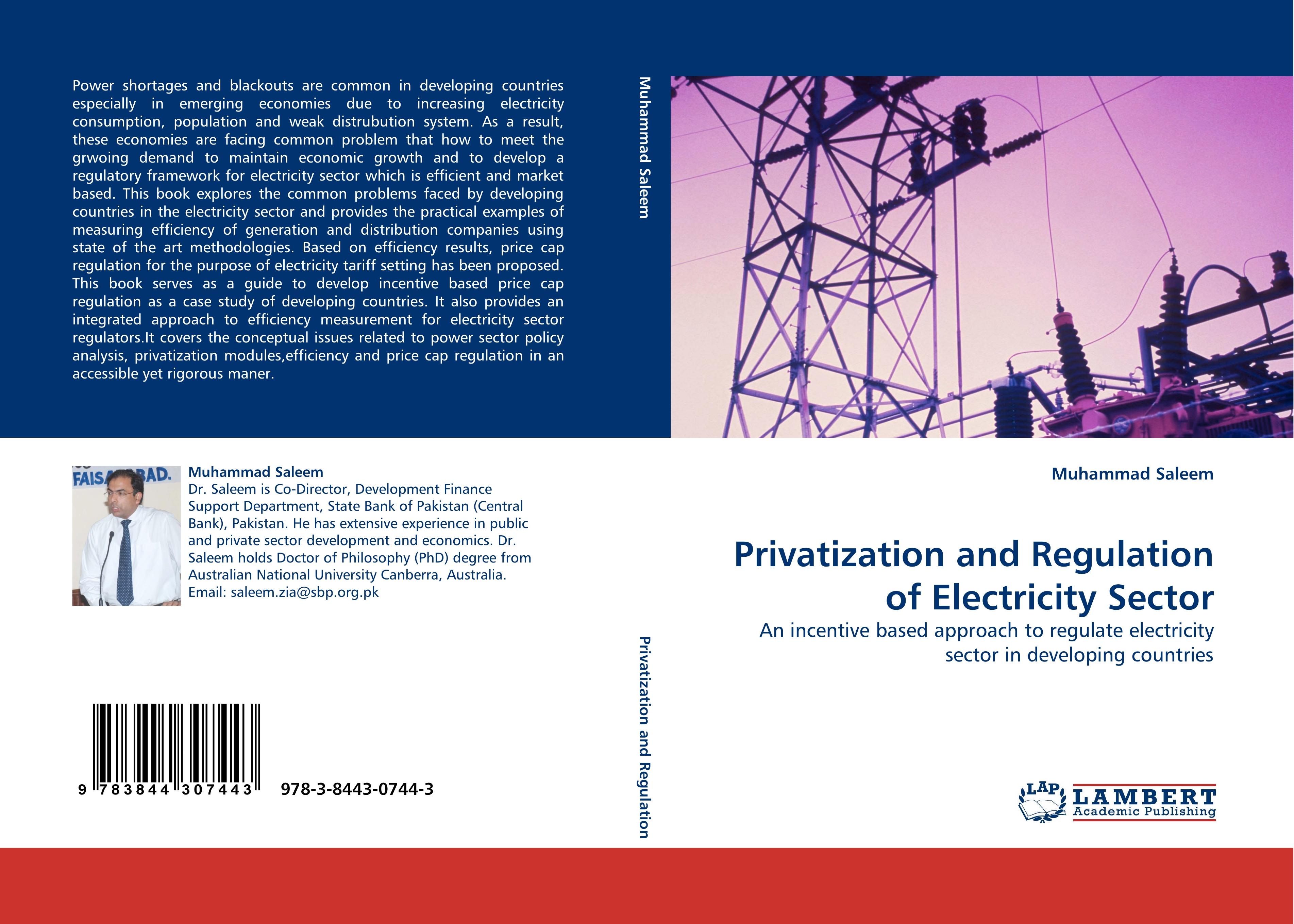 Privatization and Regulation of Electricity Sector