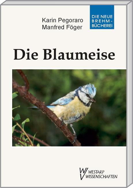 Die Blaumeise