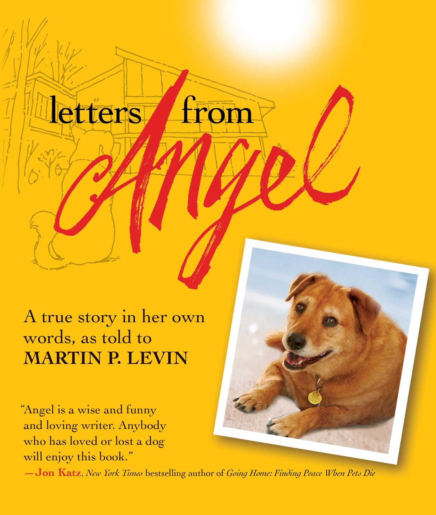 Letters from Angel