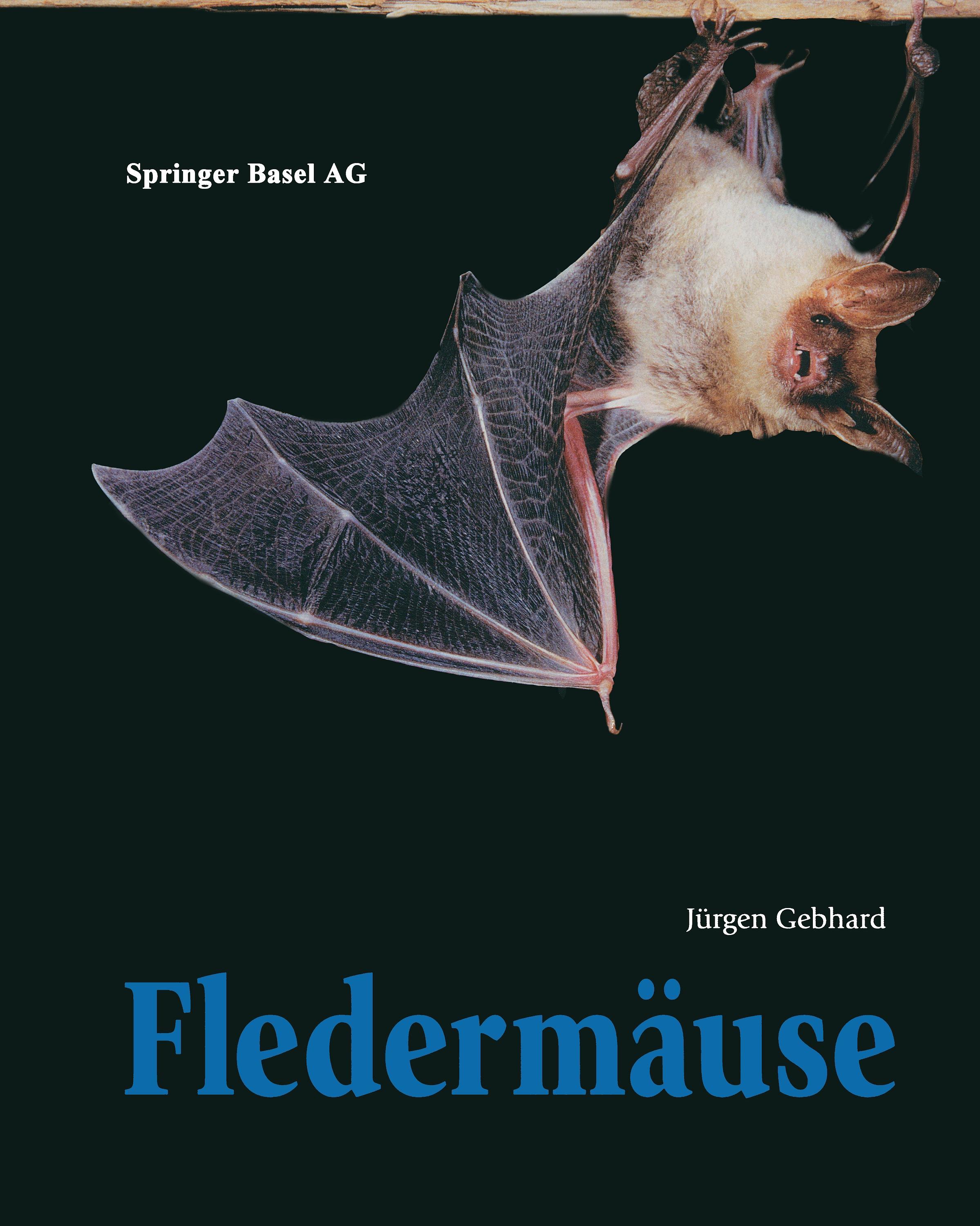 Fledermäuse