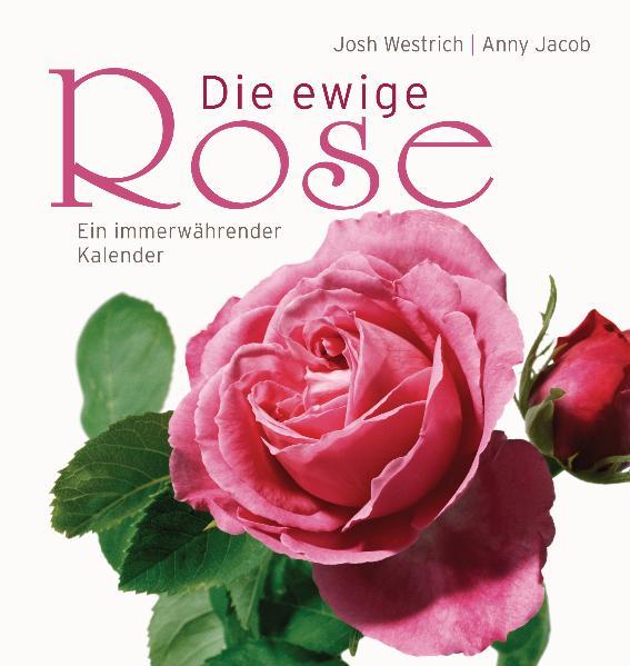 Die ewige Rose